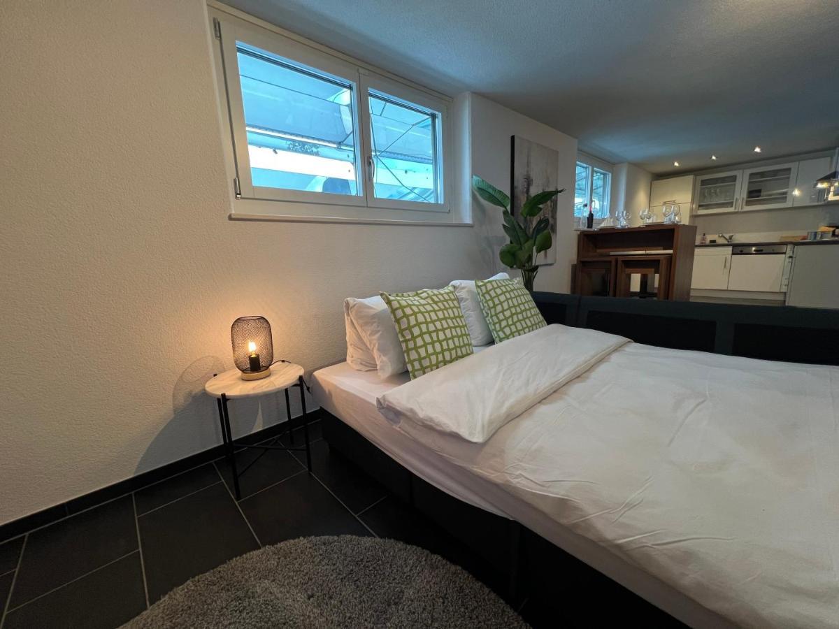 The R Apartment Froburg, Parking, Netflix, Golfplatz Obergosgen Екстер'єр фото