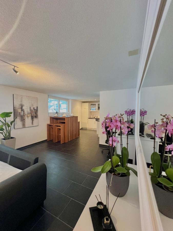 The R Apartment Froburg, Parking, Netflix, Golfplatz Obergosgen Екстер'єр фото