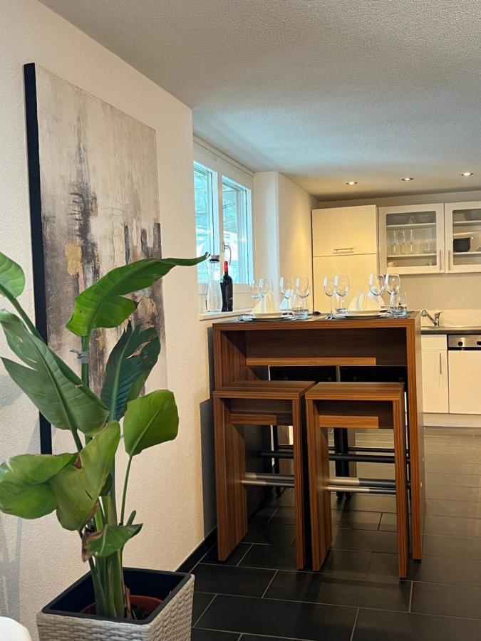 The R Apartment Froburg, Parking, Netflix, Golfplatz Obergosgen Екстер'єр фото