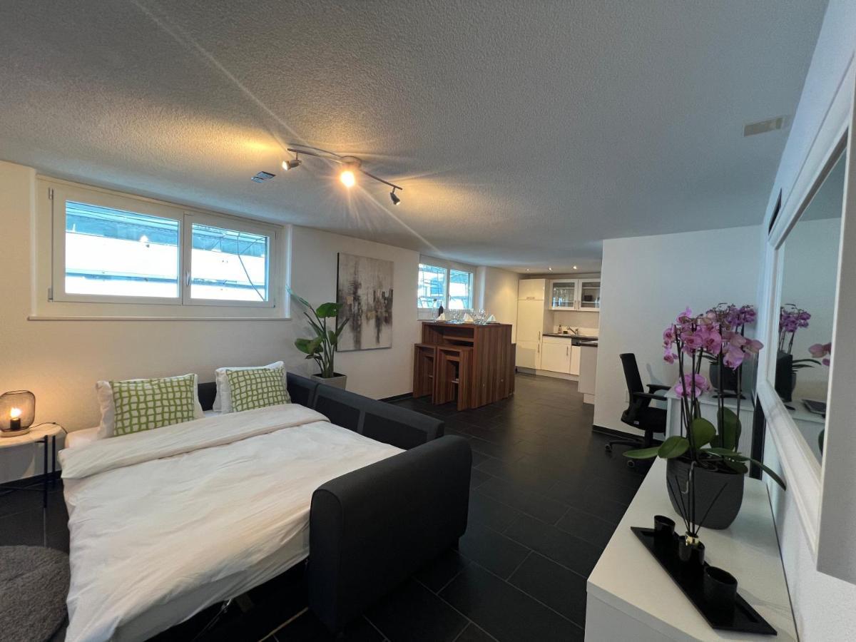 The R Apartment Froburg, Parking, Netflix, Golfplatz Obergosgen Екстер'єр фото